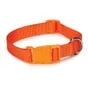 Casual Canine Nylon Dog Collars 10-16 in, Orange (10-16", Orange)