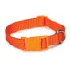 Casual Canine Nylon Dog Collars 10-16 in, Orange (10-16", Orange)