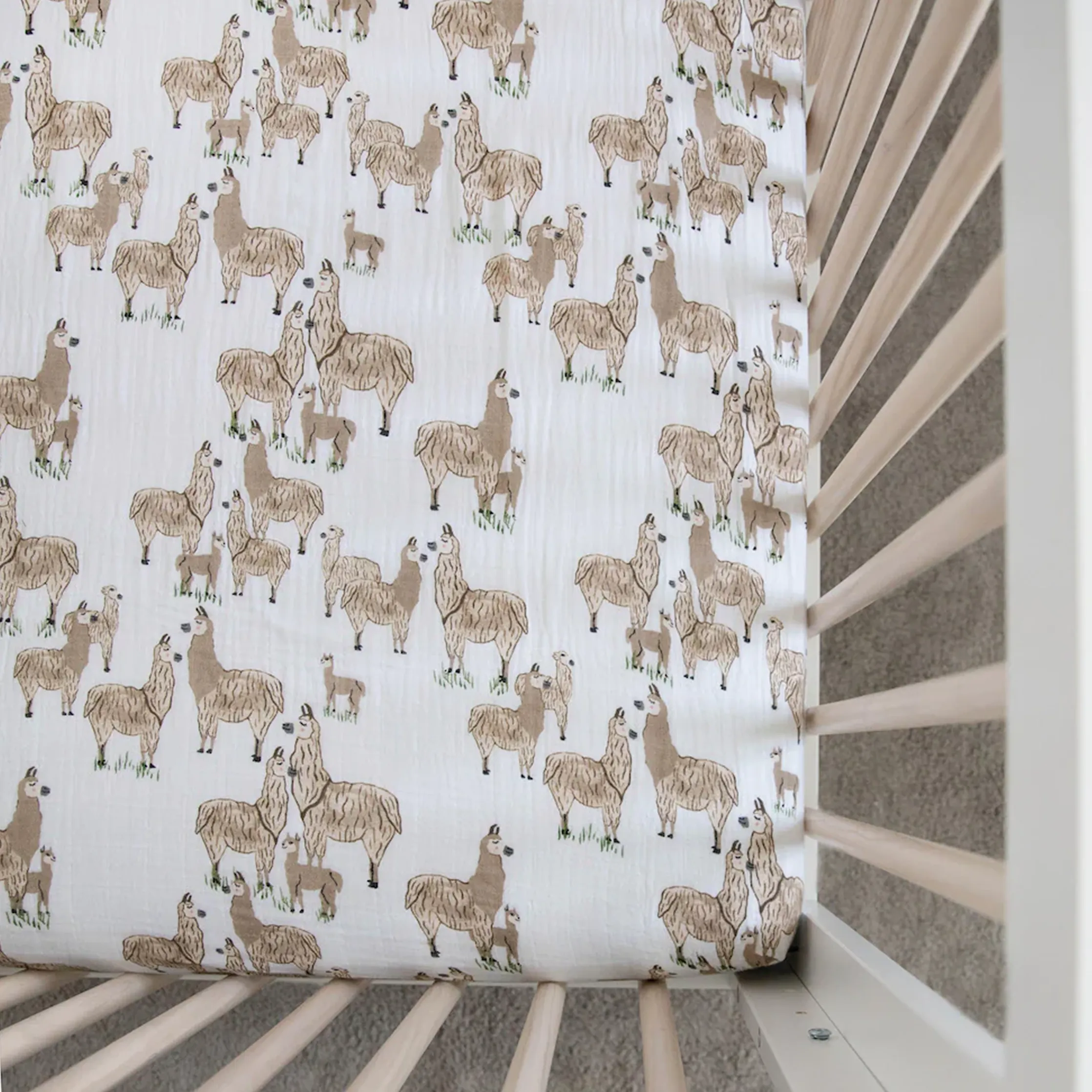 Cotton Muslin Crib Sheet - Llama Llama