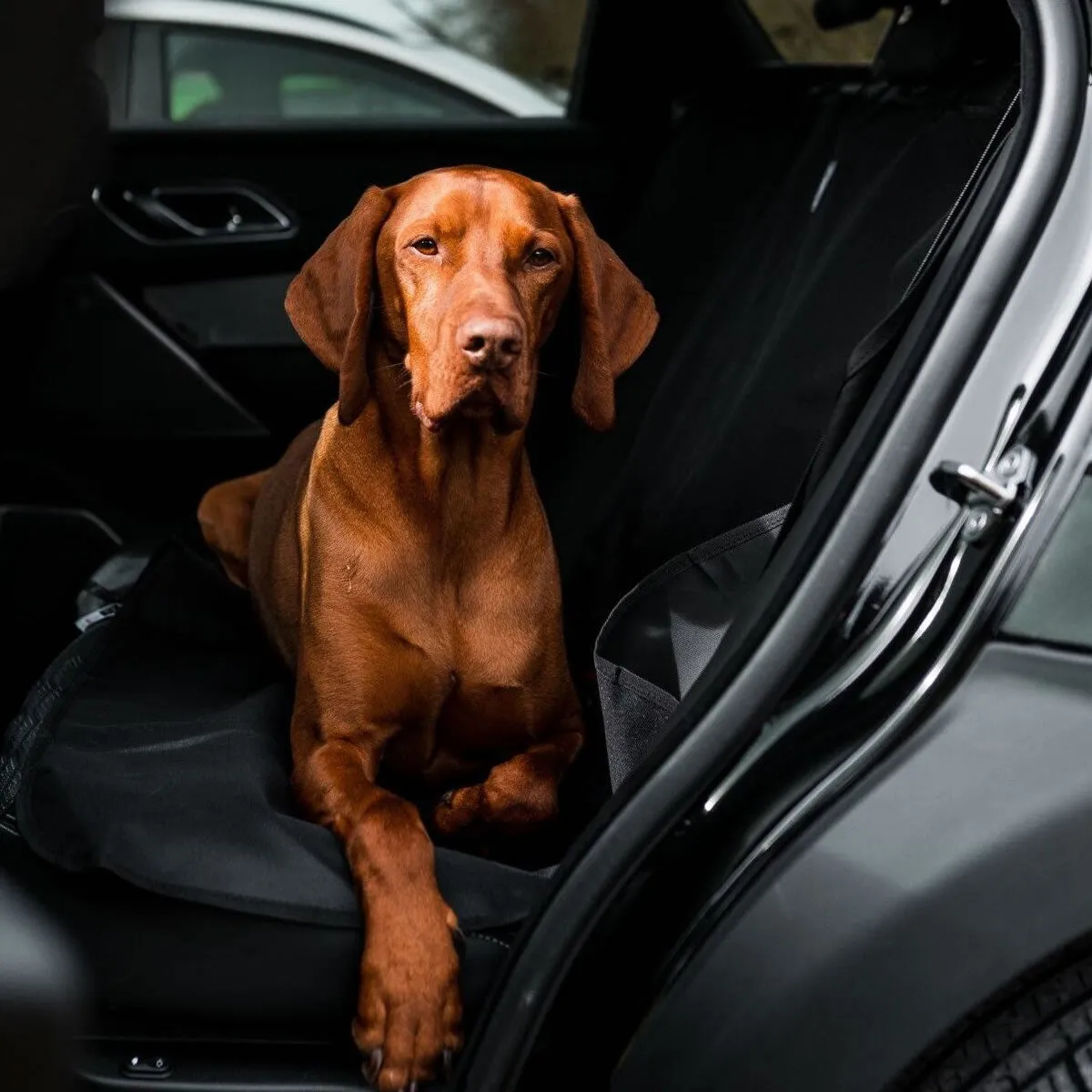 Danish Design Dog Car Seat Covers