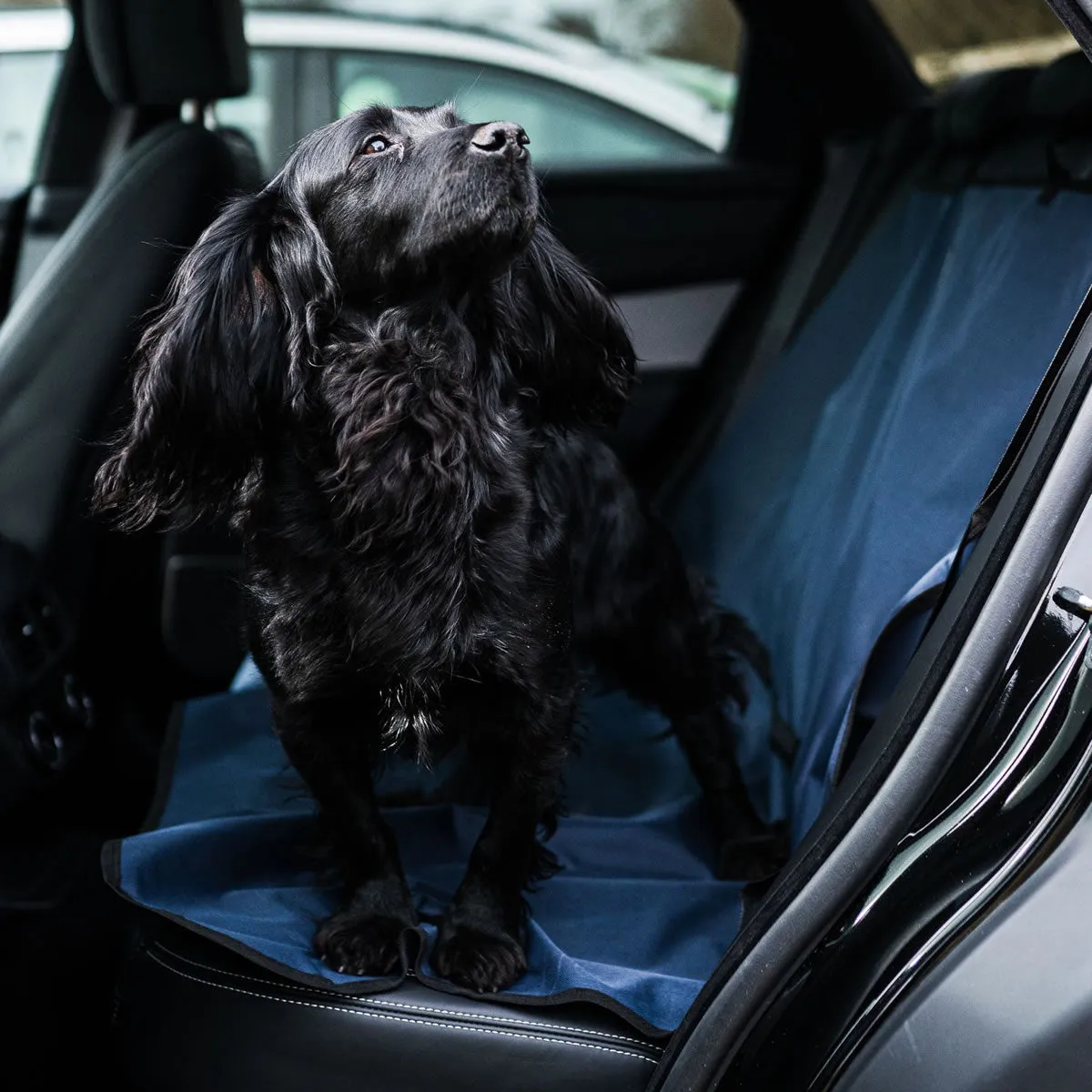 Danish Design Dog Car Seat Covers