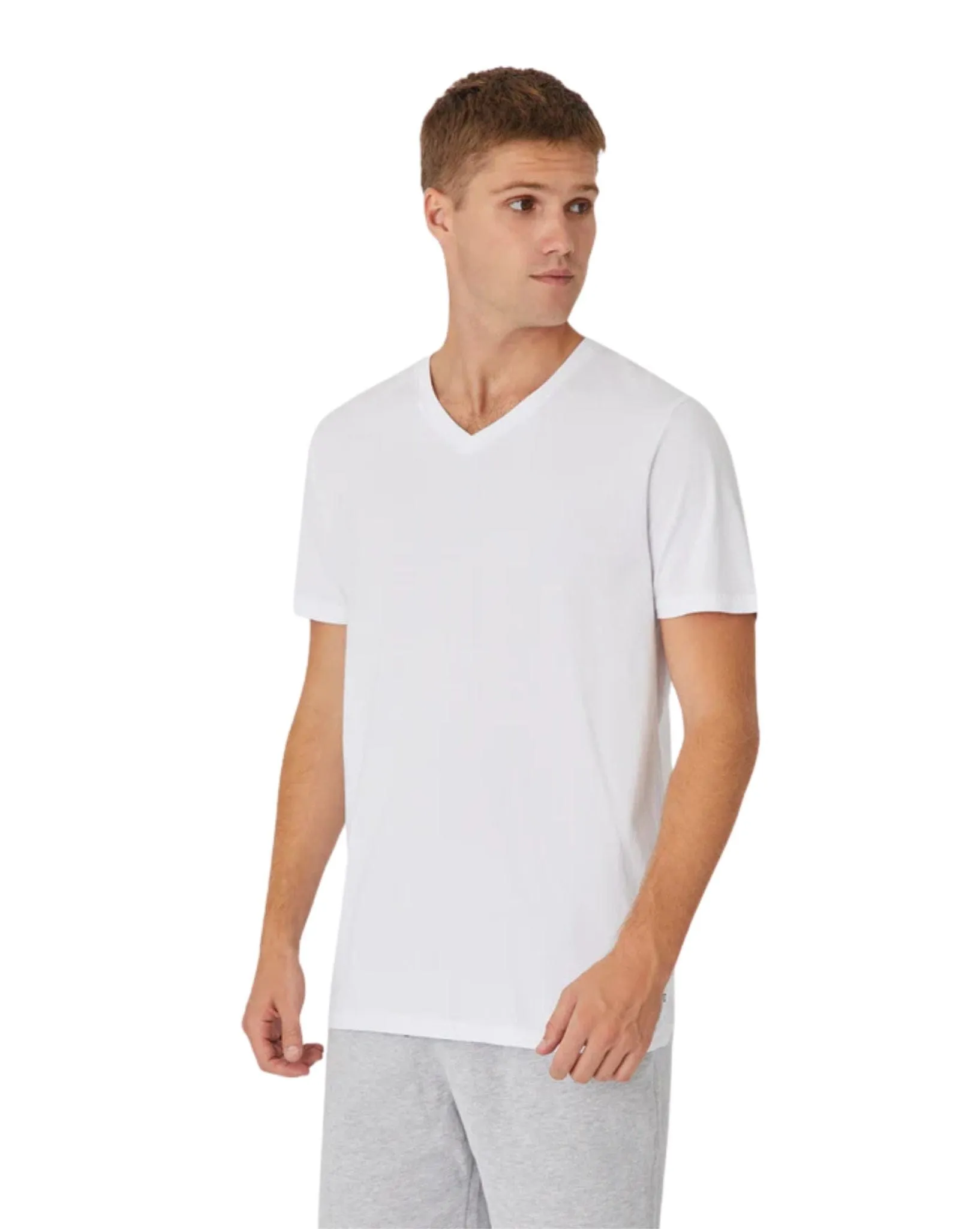 The New Basic Vee Tee