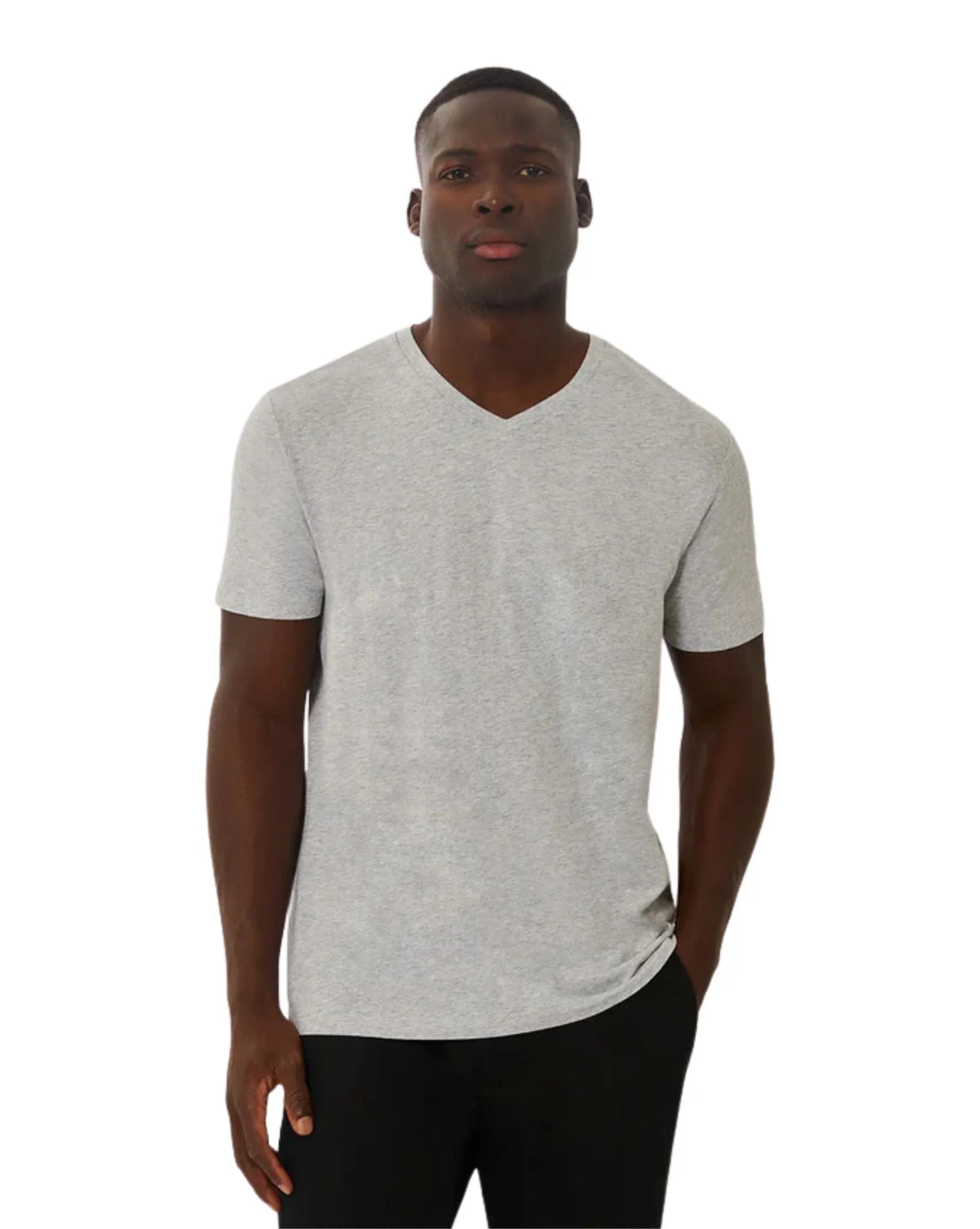 The New Basic Vee Tee